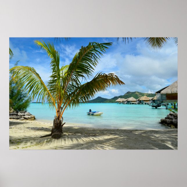 Póster Árbol de palmeras y poster del complejo acuático (Frente)
