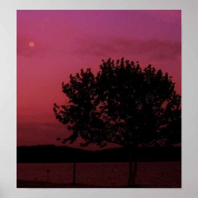 Póster Árbol de pasión (Frente)