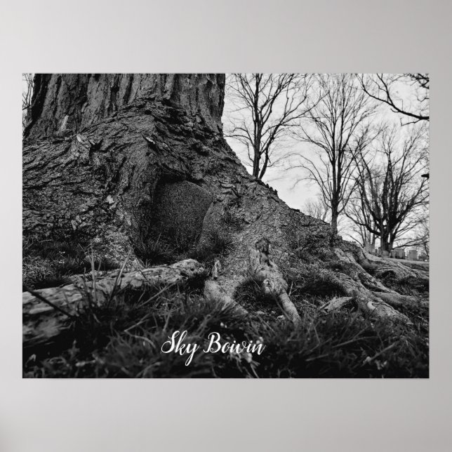 Póster árbol de pensamiento (Frente)