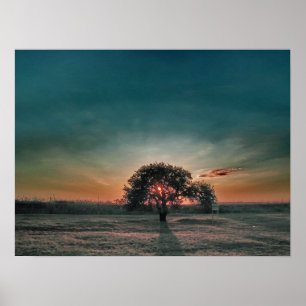 Póster Árbol de pera solitaria