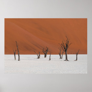 PÓSTER ÁRBOL DE PÉRDIDA EN TIERRA CUBIERTA DE NIEVE BLANC