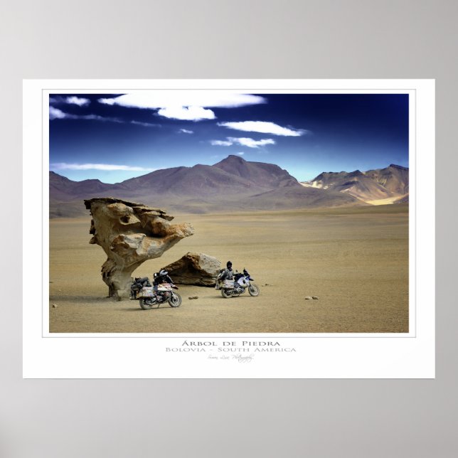 Póster Arbol de Piedra (The Rock Tree) Print (Frente)