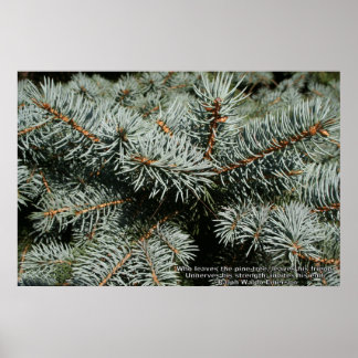 Póster Árbol de pinos
