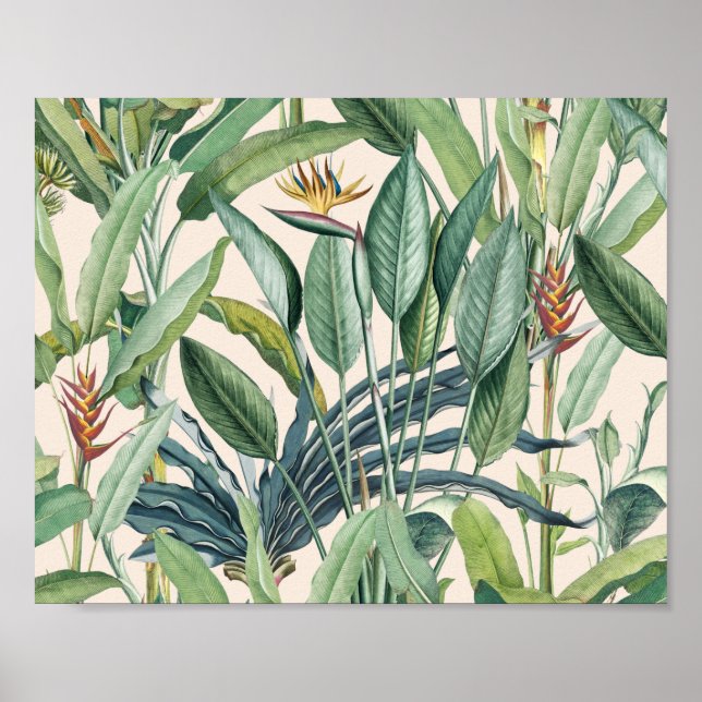 Póster Árbol de plátano de selva tropical verde Strelitzi (Frente)