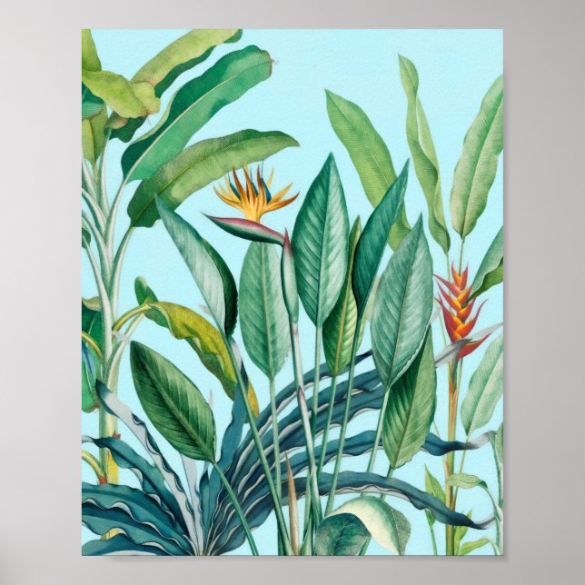 Póster Árbol de plátano de selva tropical verde Strelitzi (Frente)