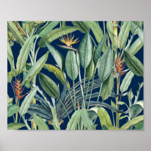 Póster Árbol de plátano de selva tropical verde Strelitzi