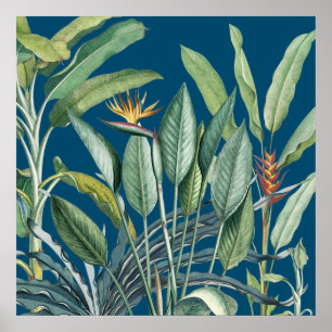 Póster Árbol de plátano de selva tropical verde Strelitzi