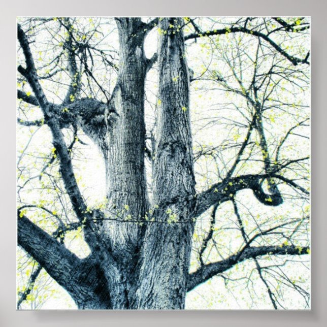 Póster Árbol de primavera (Frente)