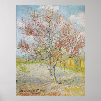 Póster Árbol de rosas en flor en Arles