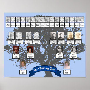 Póster Árbol de silueta foto dos árboles familiares