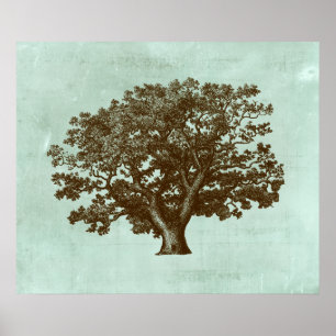 Póster Árbol de Spa IV