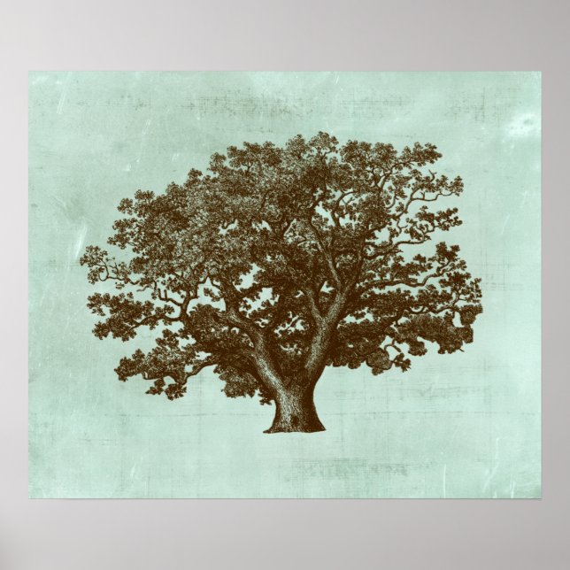 Póster Árbol de Spa IV (Frente)