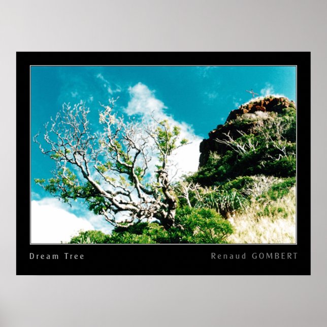 Póster Árbol de sueños (Frente)