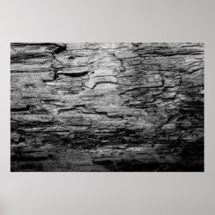 Póster Árbol de textura de madera blanca y negra