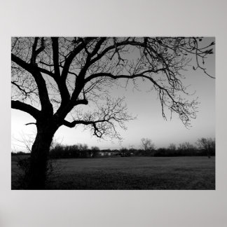 Póster Árbol de trineo