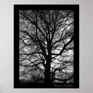 Póster Árbol de vida