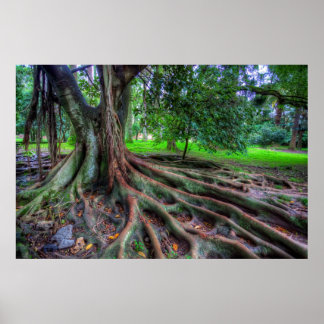 Póster Árbol De Vida