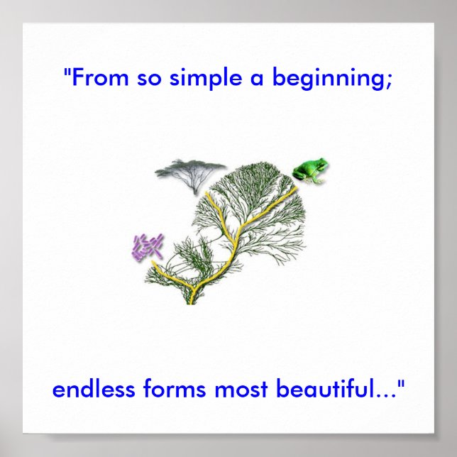 Póster Árbol de vida (Frente)