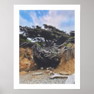 Póster Árbol de vida