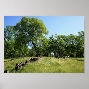 Póster "Árbol de vida"