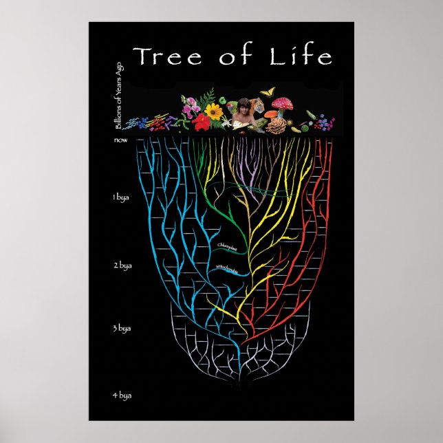 Póster Árbol de vida (Frente)