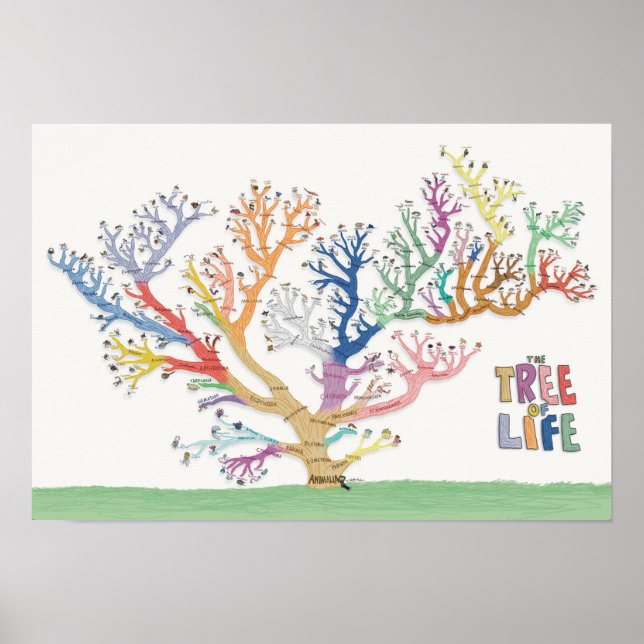 Póster Árbol de vida (19x13) (Frente)