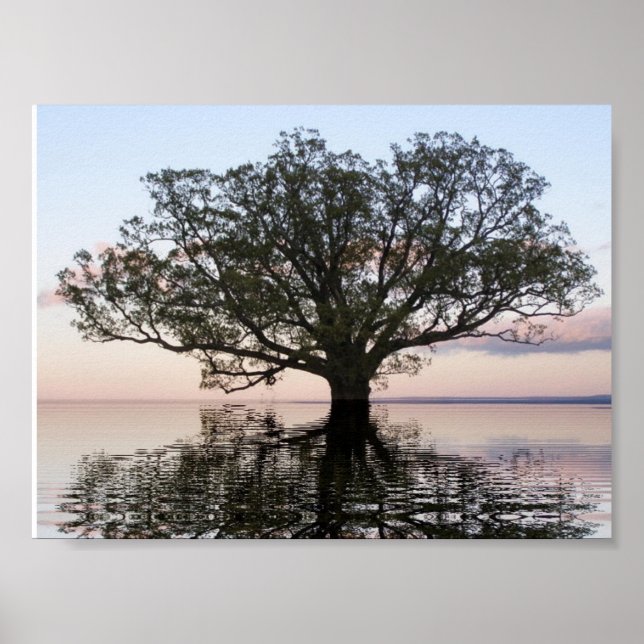 Póster Árbol de vida (reflexiones) (Frente)