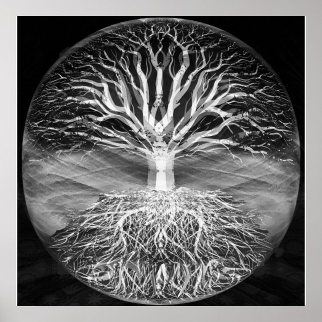 Póster Árbol de vida serenidad en blanco y negro (Frente)