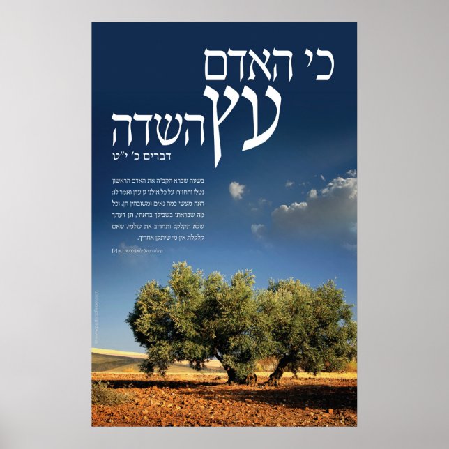 Póster Árbol del campo (Frente)