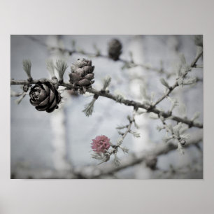 Póster Árbol del flor