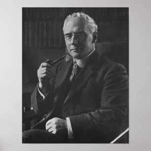 Póster Árbol descopado de Albert Frederick