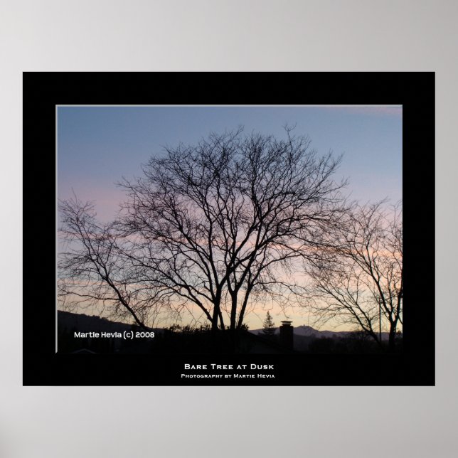 Póster "Árbol desnudo al atardecer" (Frente)