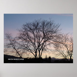 Póster Árbol desnudo al atardecer