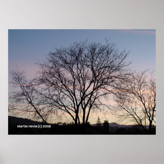 Póster Árbol desnudo al atardecer (Frente)