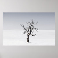 ÁRBOL DESPIDO EN MEDIO DE LA NIEVE