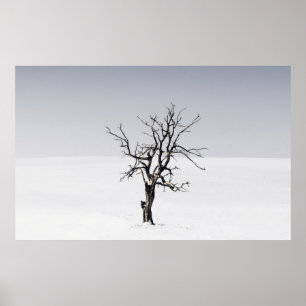 PÓSTER ÁRBOL DESPIDO EN MEDIO DE LA NIEVE