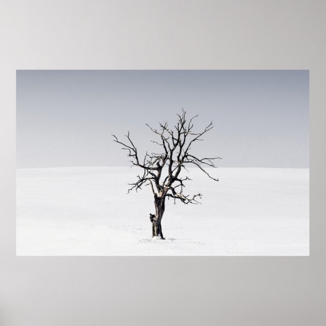 PÓSTER ÁRBOL DESPIDO EN MEDIO DE LA NIEVE (Frente)