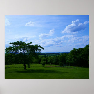 Póster Árbol en campo y hermoso Poster de cielo
