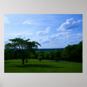 Póster Árbol en campo y poster hermoso del cielo