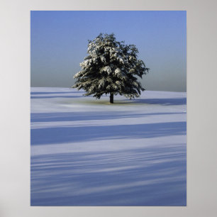 Póster Árbol en el paisaje cubierto de nieve