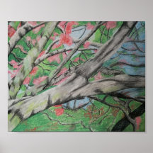 Árbol en Flor
