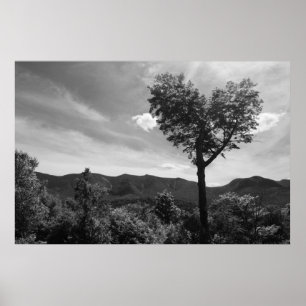 Póster Árbol en forma de corazón