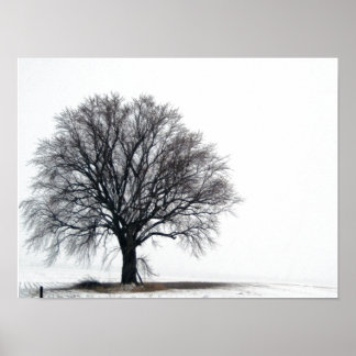Póster árbol en la nieve