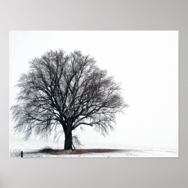 Póster árbol en la nieve (Frente)