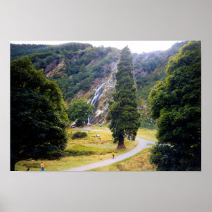 Póster Árbol en las cataratas de Powerscourt