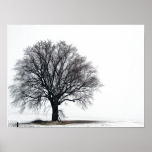Póster árbol en nieve
