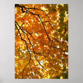 Póster Árbol en otoño