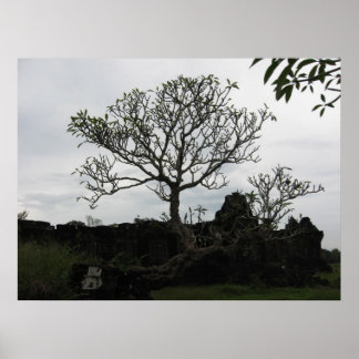 Póster Árbol en Tailandia
