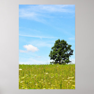 Póster Árbol en un Poster de campo