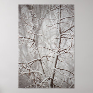 Póster Árbol en un Poster de tormenta de nieve